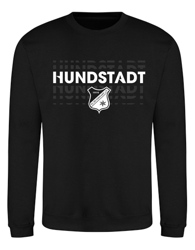 Echo Sweatshirt Herren