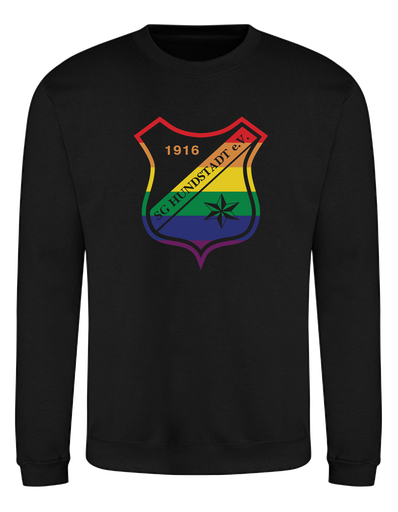 Rainbow Sweatshirt Herren